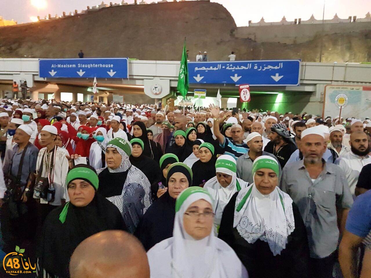 7ojajaya lud ramla (9).JPG